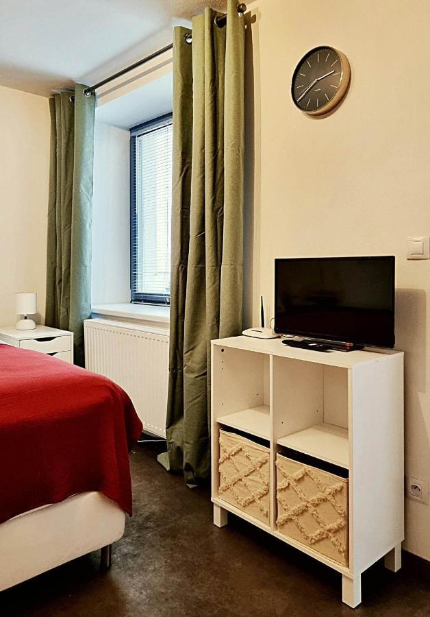 Apartman Zlaty Kriz Písek エクステリア 写真