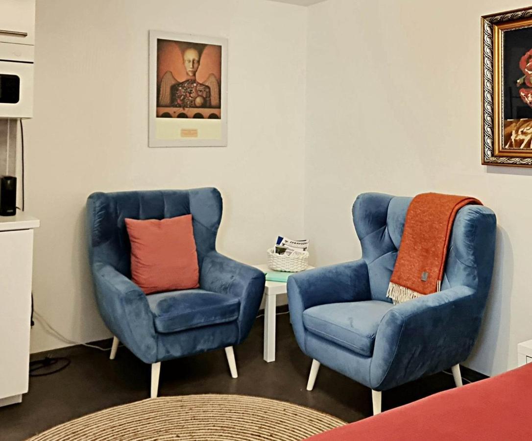 Apartman Zlaty Kriz Písek エクステリア 写真